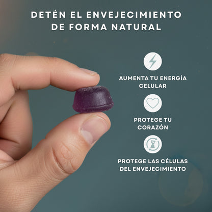 Timeless™ | Gomitas Anti-edad